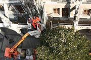 Weihnachtsbaum von oben gesehen..  (Foto. MartiN Schmitz)